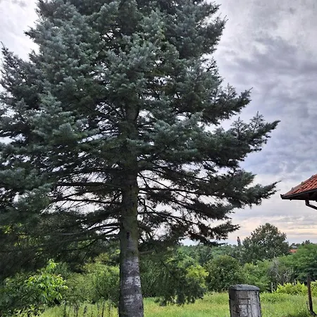 Kosmajski Beg: Vasa Privatna Vikendica Sa Bazenom